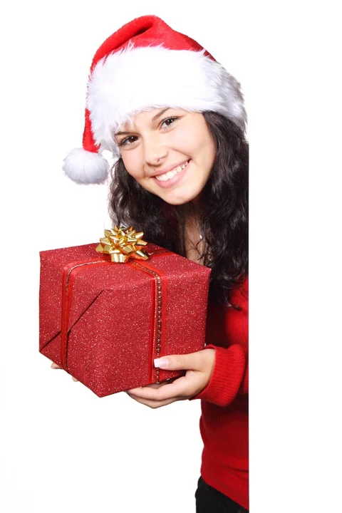 board, christmas, claus, female