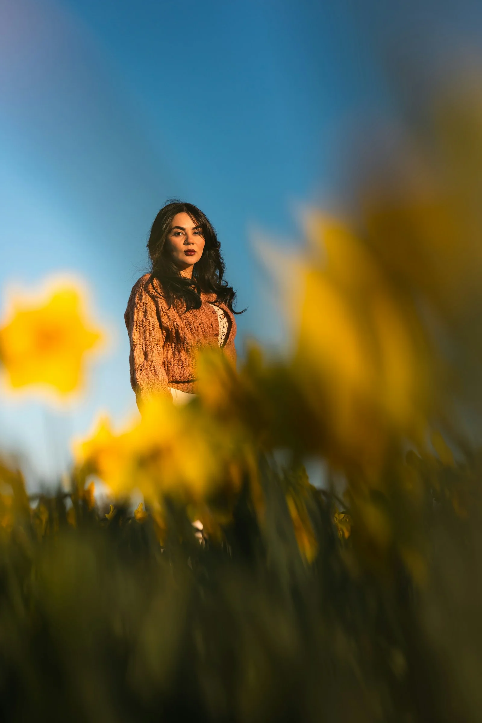 Woman poses among vibrant yellow daffodils