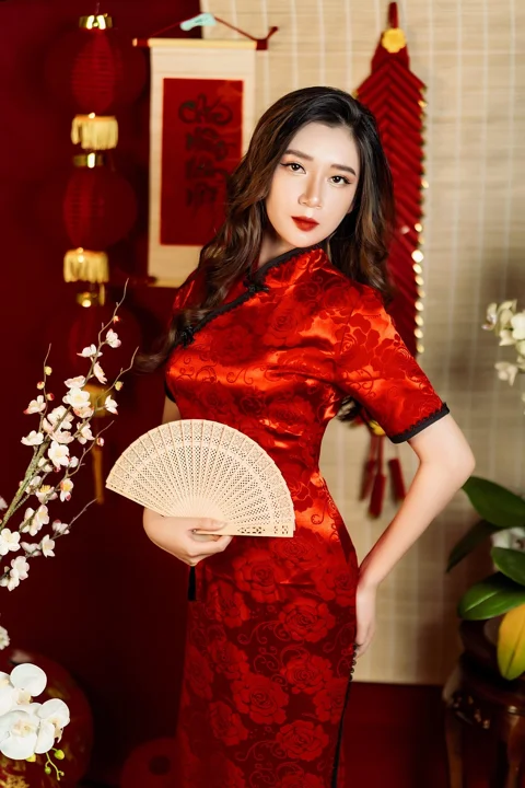 tet, ao dai, vietnamese woman, woman