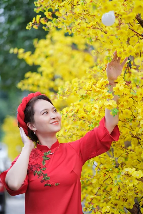 女人、模特、姿势、美丽