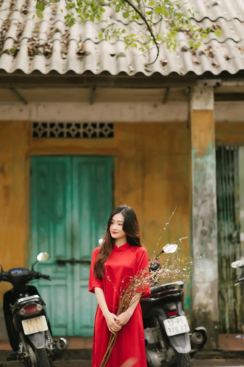 vietnam, ao dai, woman, portrait