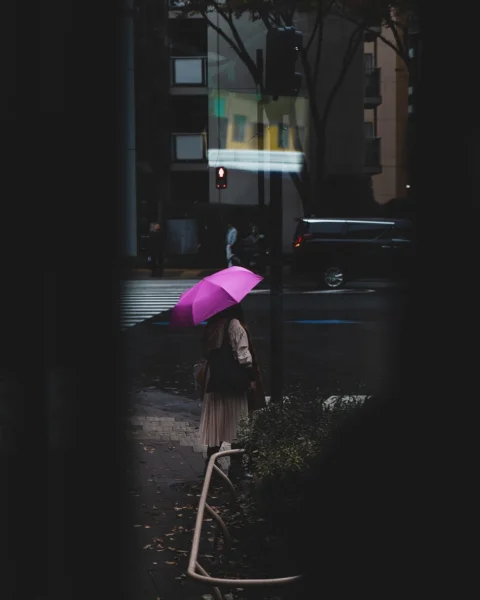 女子, 雨傘, 街道, 天氣