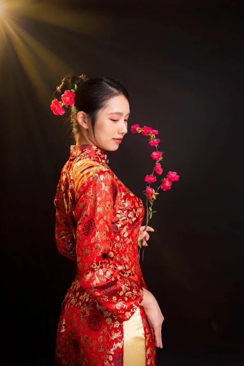 vietnamese woman, ao dai, portrait, beautiful