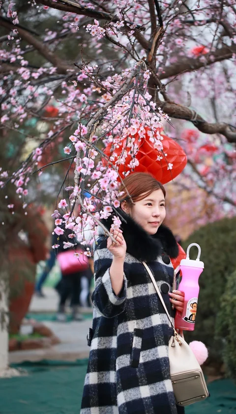 beijing, girl, spring festival, happy