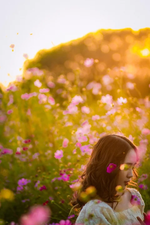 花朵、女性、自然、美麗