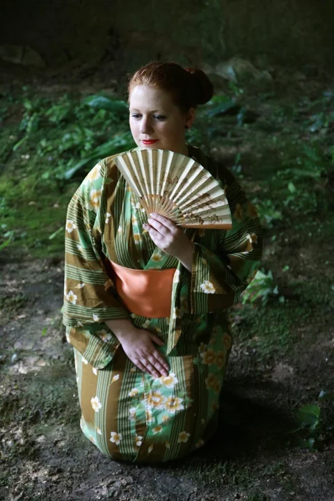 日本，女性，艺妓，日本人