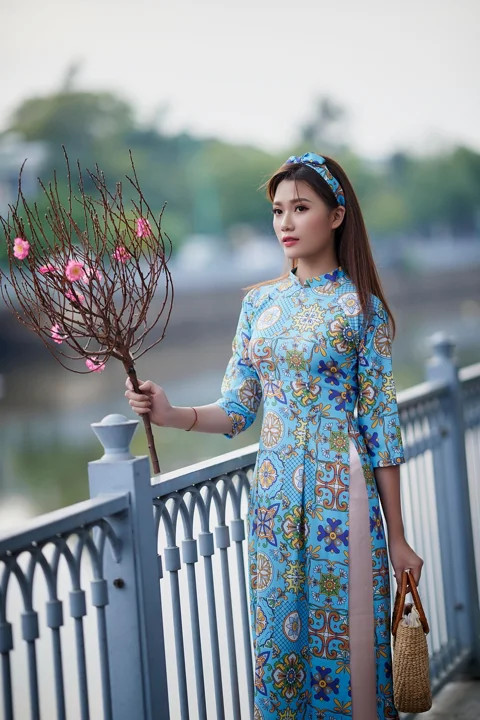 peach blossom, spring, new year, train line