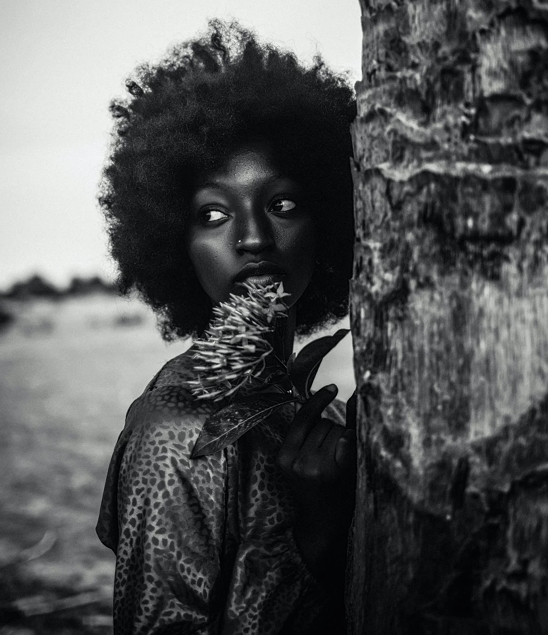 woman, model, portrait, pose