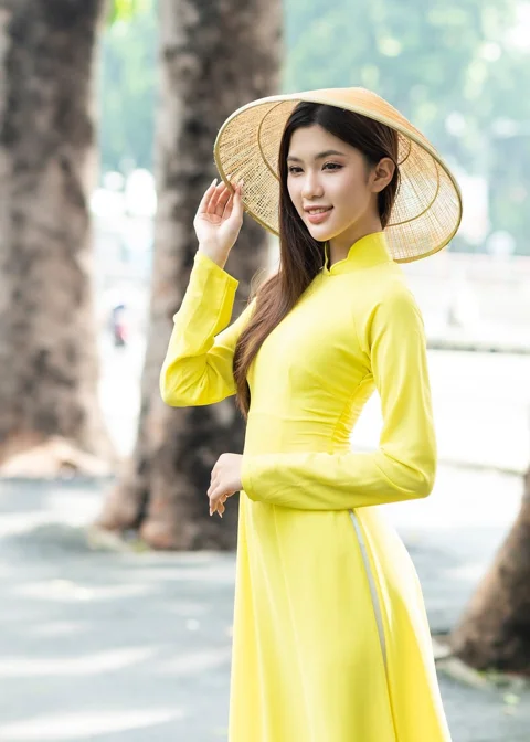 奥黛, 连衣裙, 越南, 女人