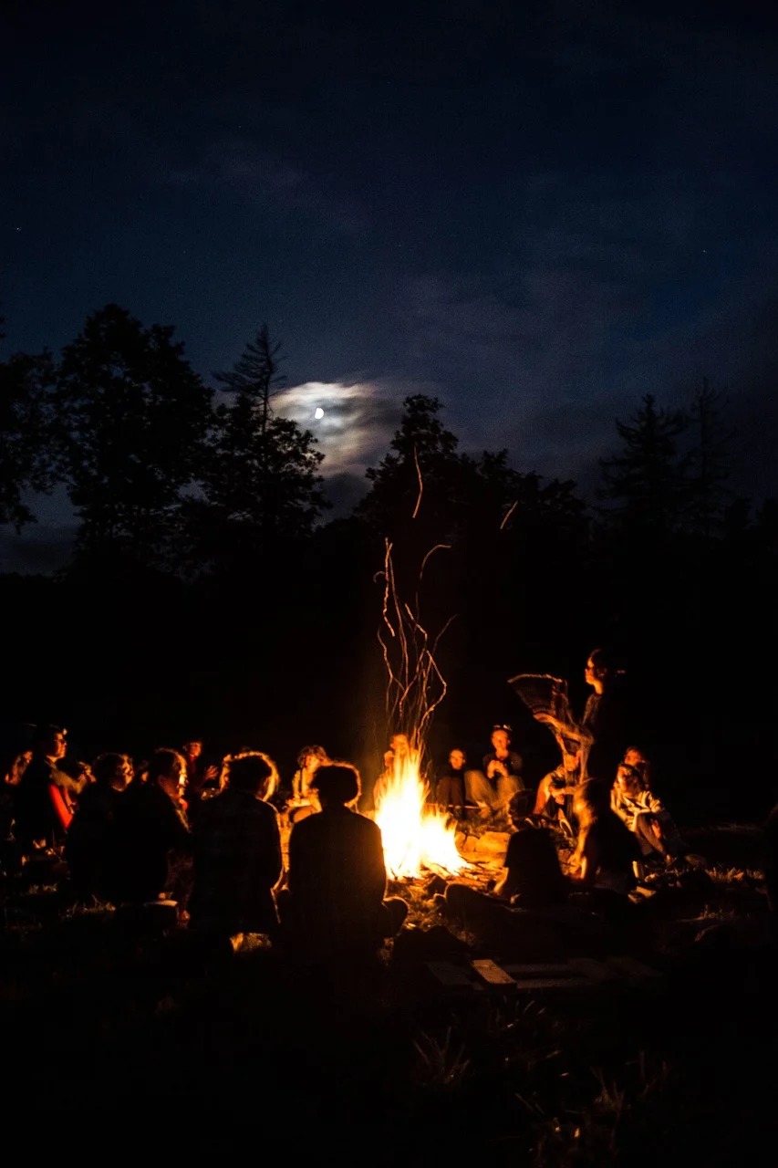 營火, 人們, 夜晚, 團體