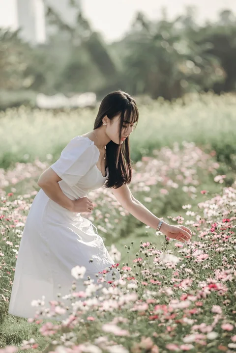 woman, flowers, field, meadow