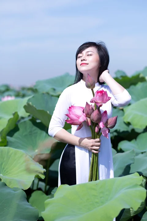 女人、蓮花、時尚、美麗