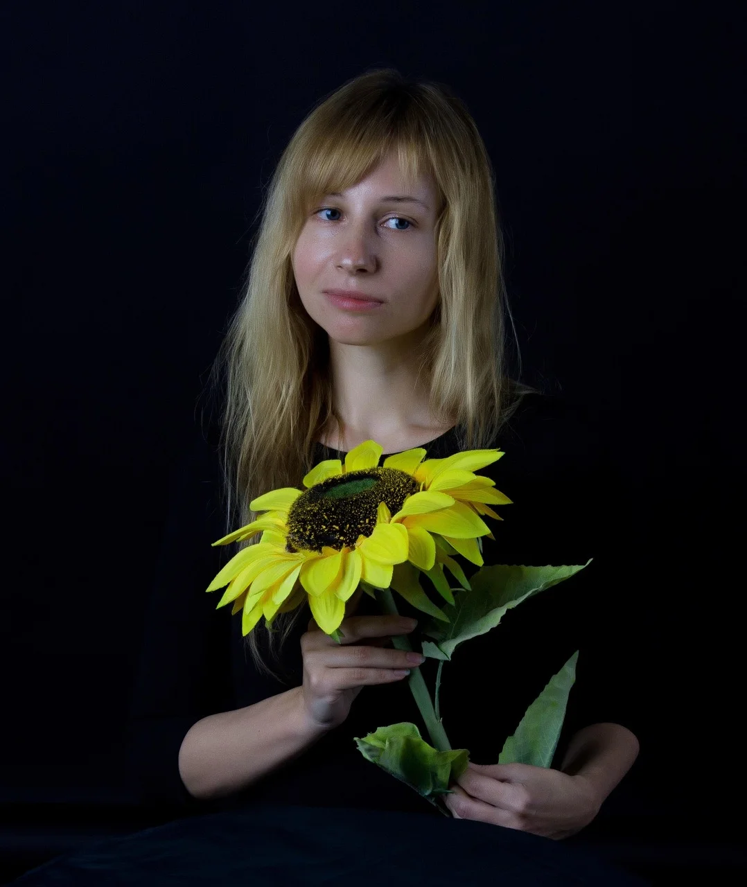 sunflower, portrait, flowers, sunflowers