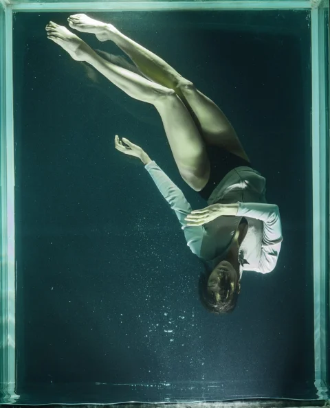 that, underwater, freedom, life