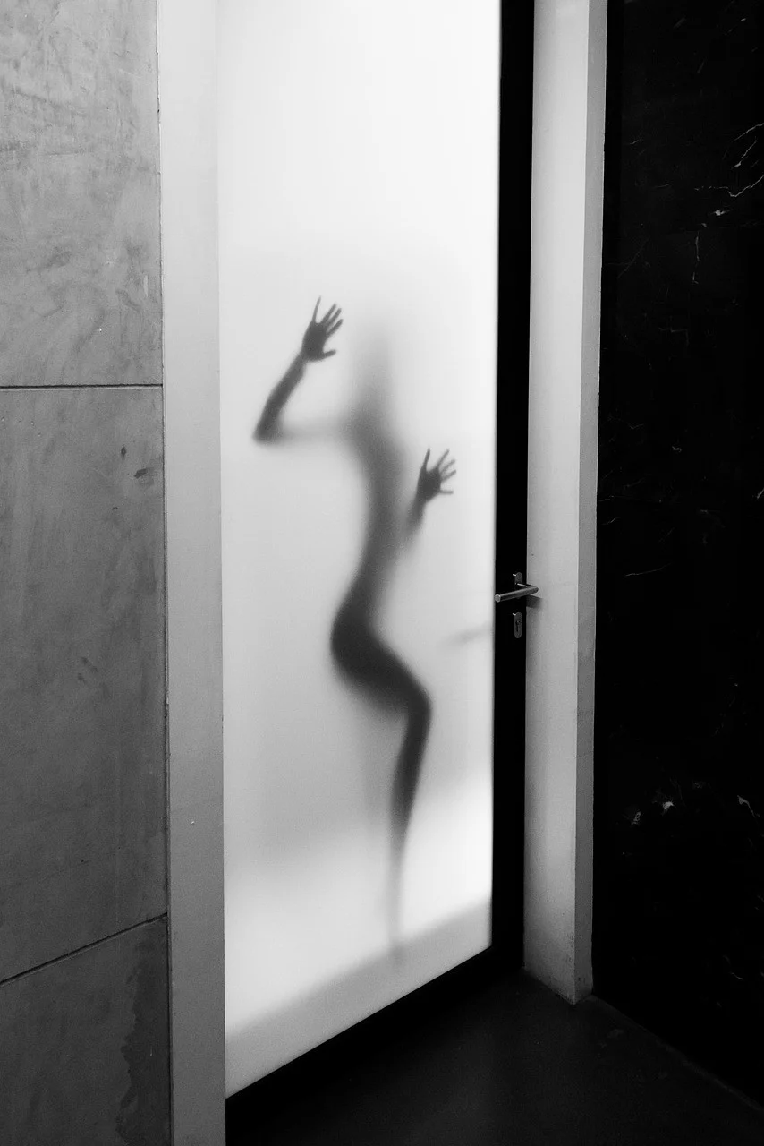 art, door, frosted door, house