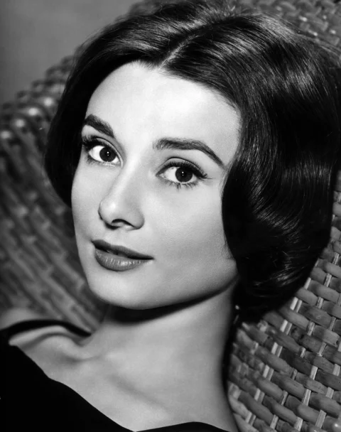 audrey hepburn,女演员,蒂凡尼的早餐,杰出