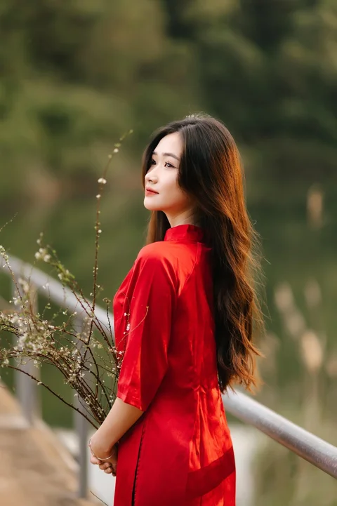 越南, 奥黛, 女人, 肖像