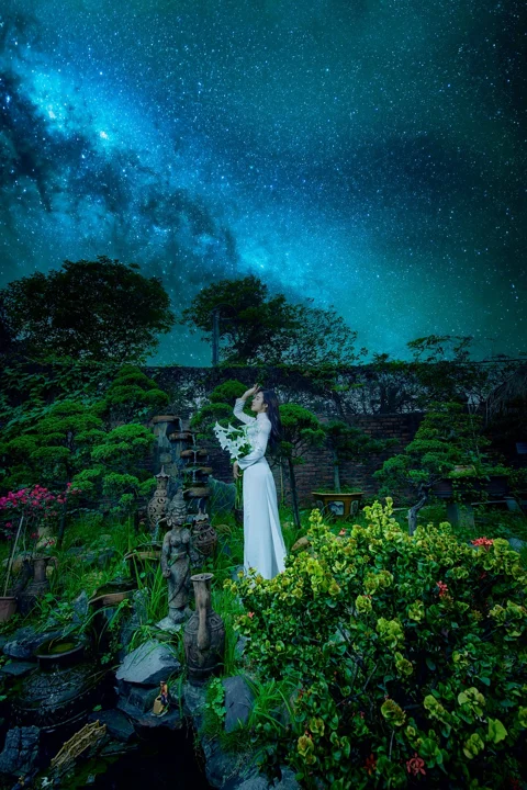 女人, 奥黛, 花园, 夜晚