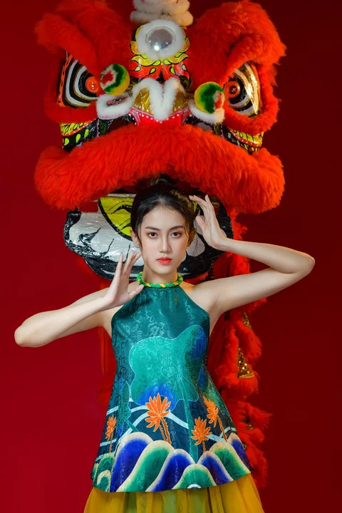 女人，越南春节，文化，模特