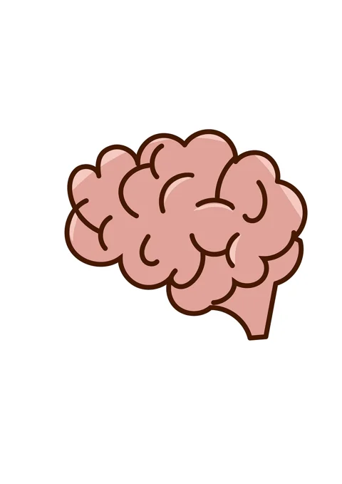 brain, thoughts, human body, face