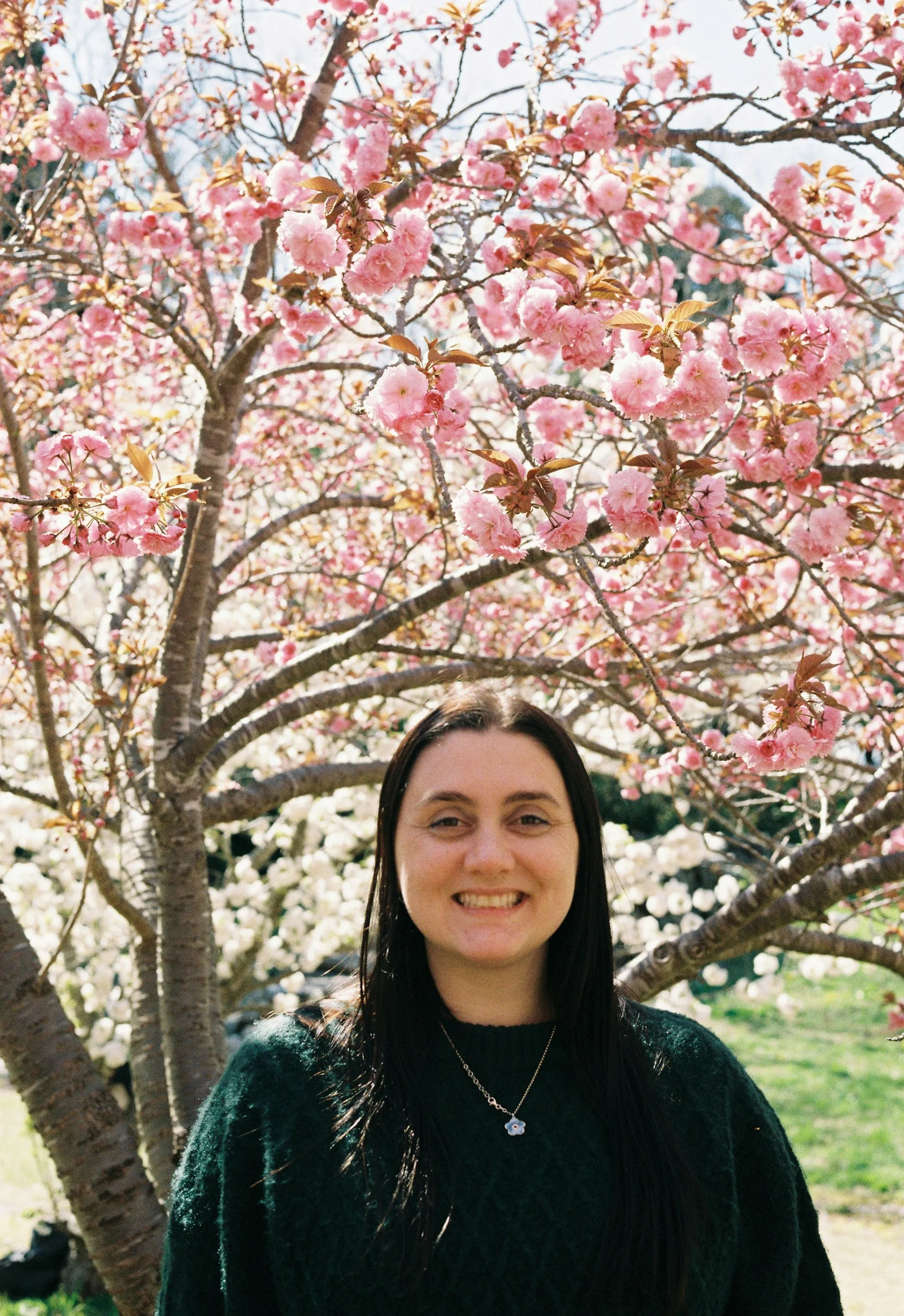 Woman smiling in front of a blooming cherry blossom tree