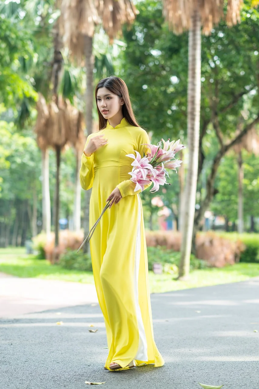 aodai, ドレス, ベトナム, 女性