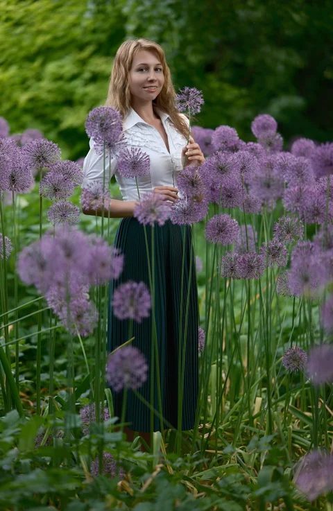 觀賞蒜、花朵、洋蔥、植物園