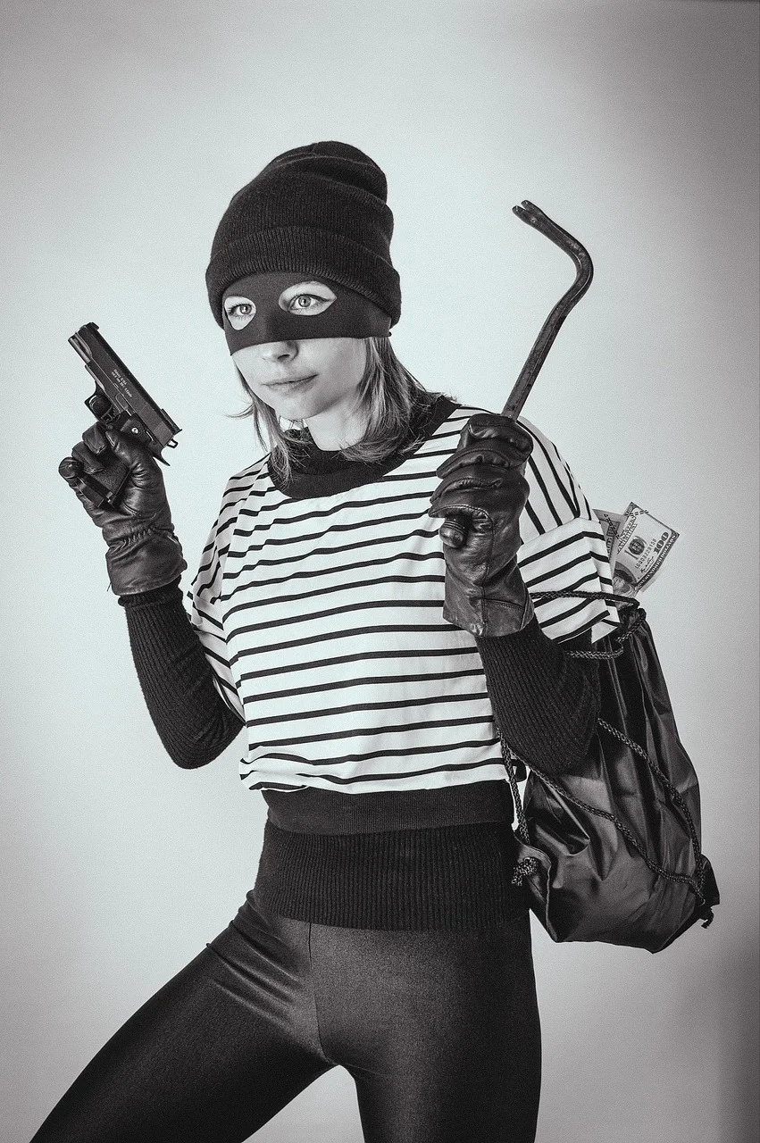 robber, thief, woman, robbery