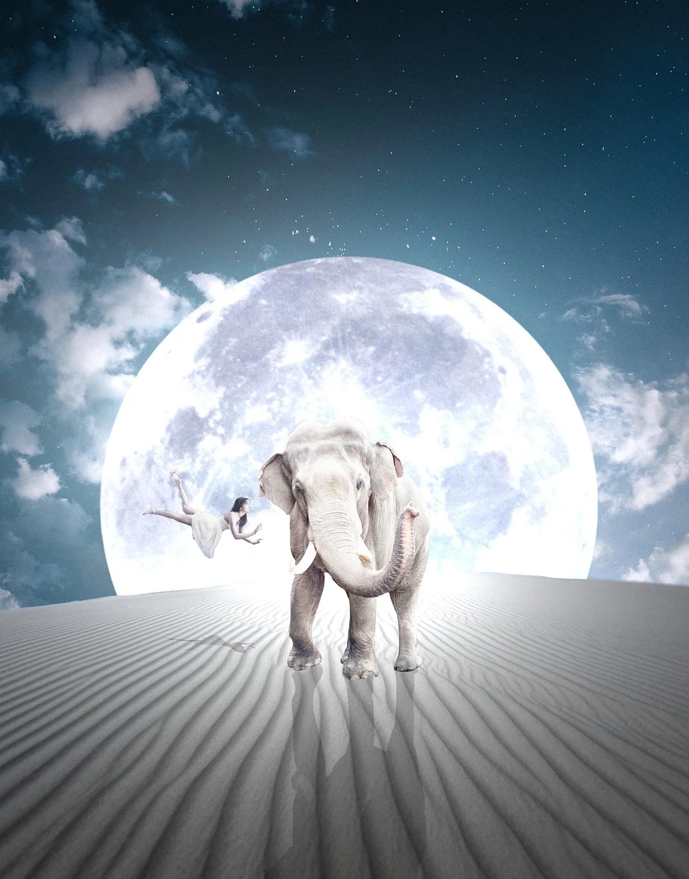 elephant, moon, lighting, young woman