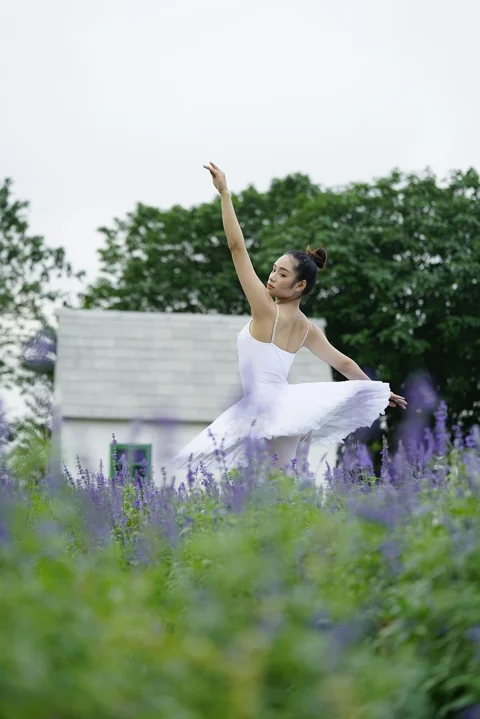 ballet, girl, meadow, flowers