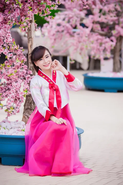 flower knife, cherry blossom, flower, spring