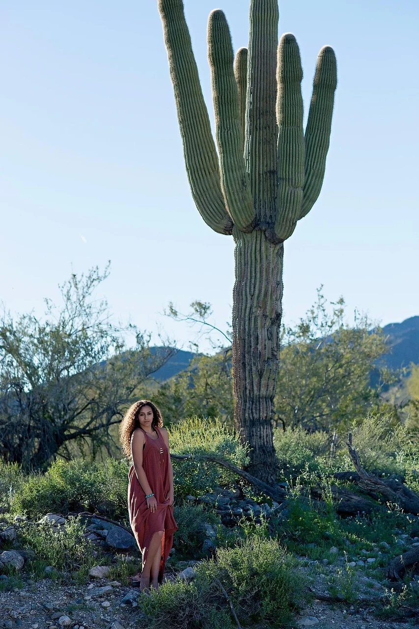 desert, cactus, road, girl