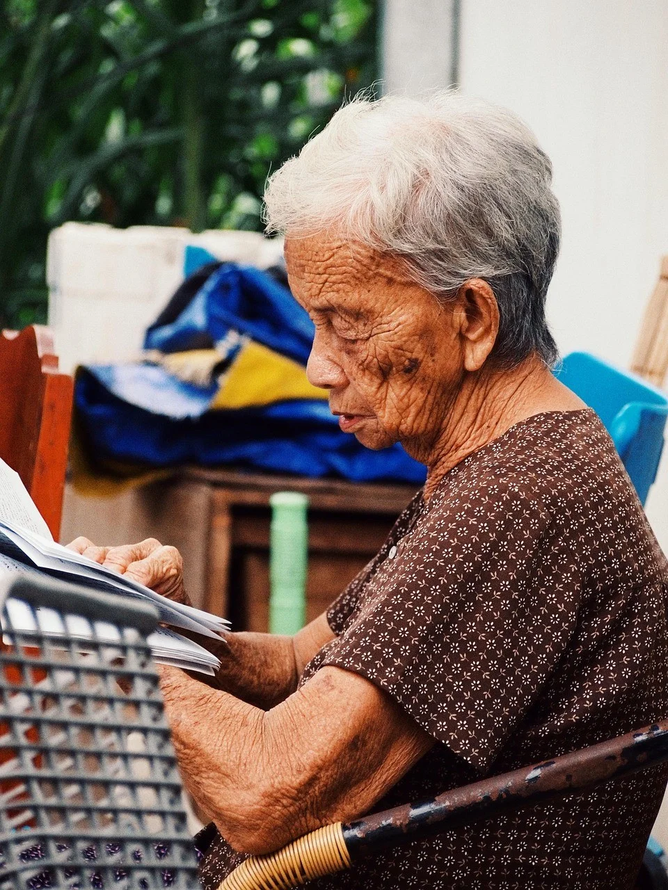 女人、年迈、阅读、肖像