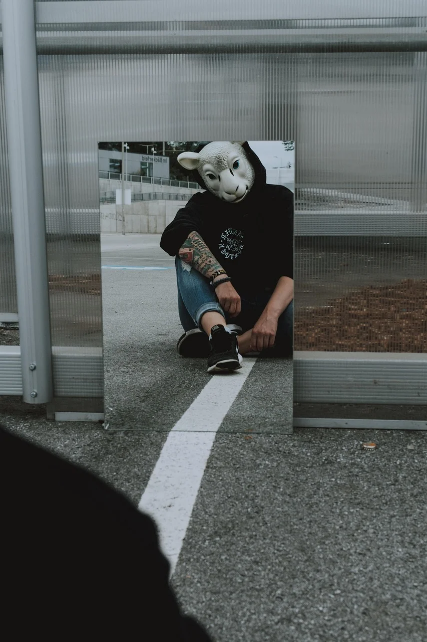 sheep, sheep mask, mirrors, reflection