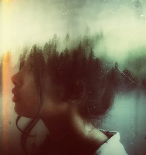 manipulation, photography, visual art, trees