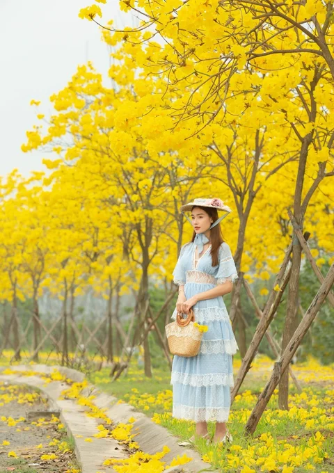 woman, model, park, trees