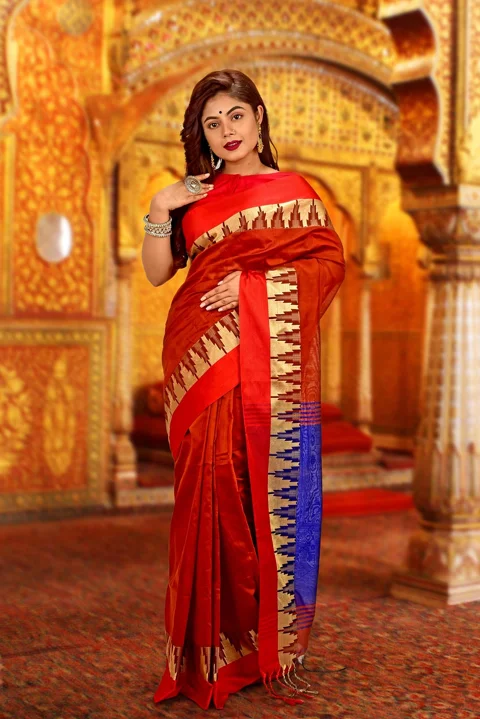 woman, indian saree, model, indian model