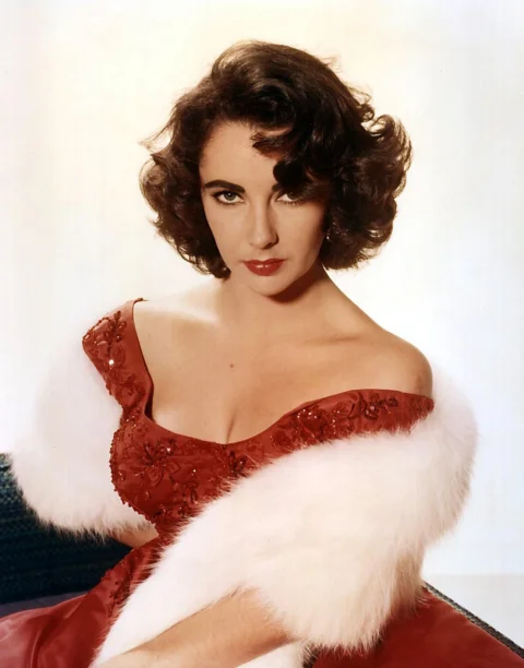 elizabeth taylor，女演员，明星，著名