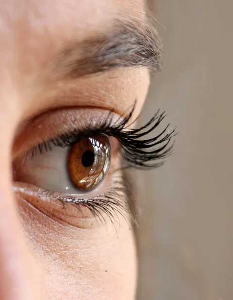 eye, eyelashes, face, woman