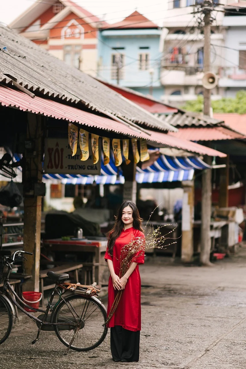 vietnam, ao dai, woman, portrait