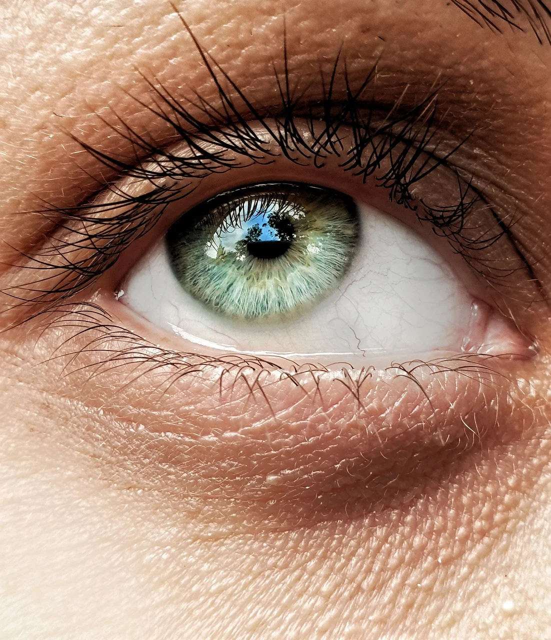 eye, face, model, look