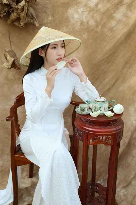 女性, 模特, 越南人, 奥黛