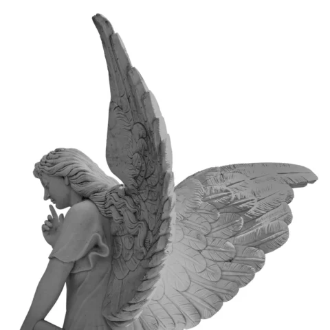 angel, wing, little angel, love
