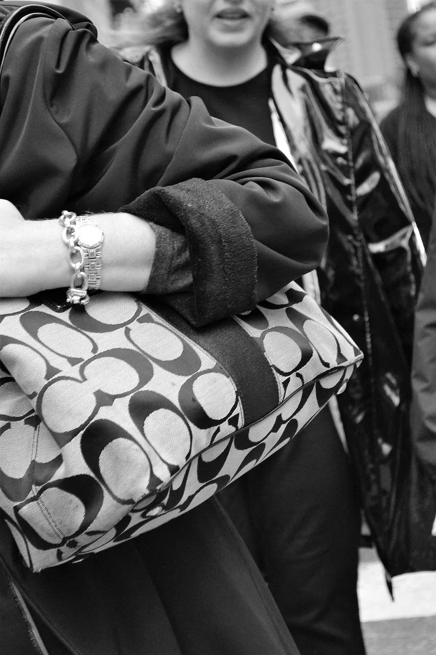 handbag, woman shopping, woman, fashion