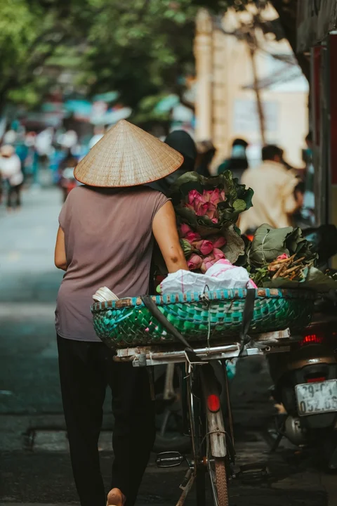 女人, 自行車, 街頭, 越南