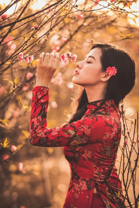 女性, 时尚, 传统穿着, 传统服装