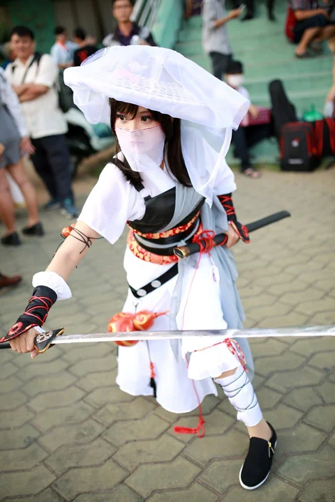 忍者, 英雄, 武士, 角色扮演