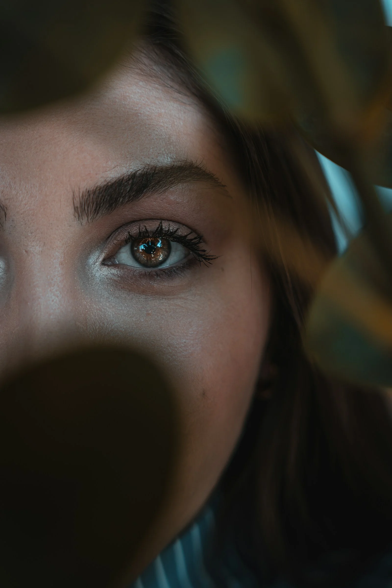 womans eye with brown eyes