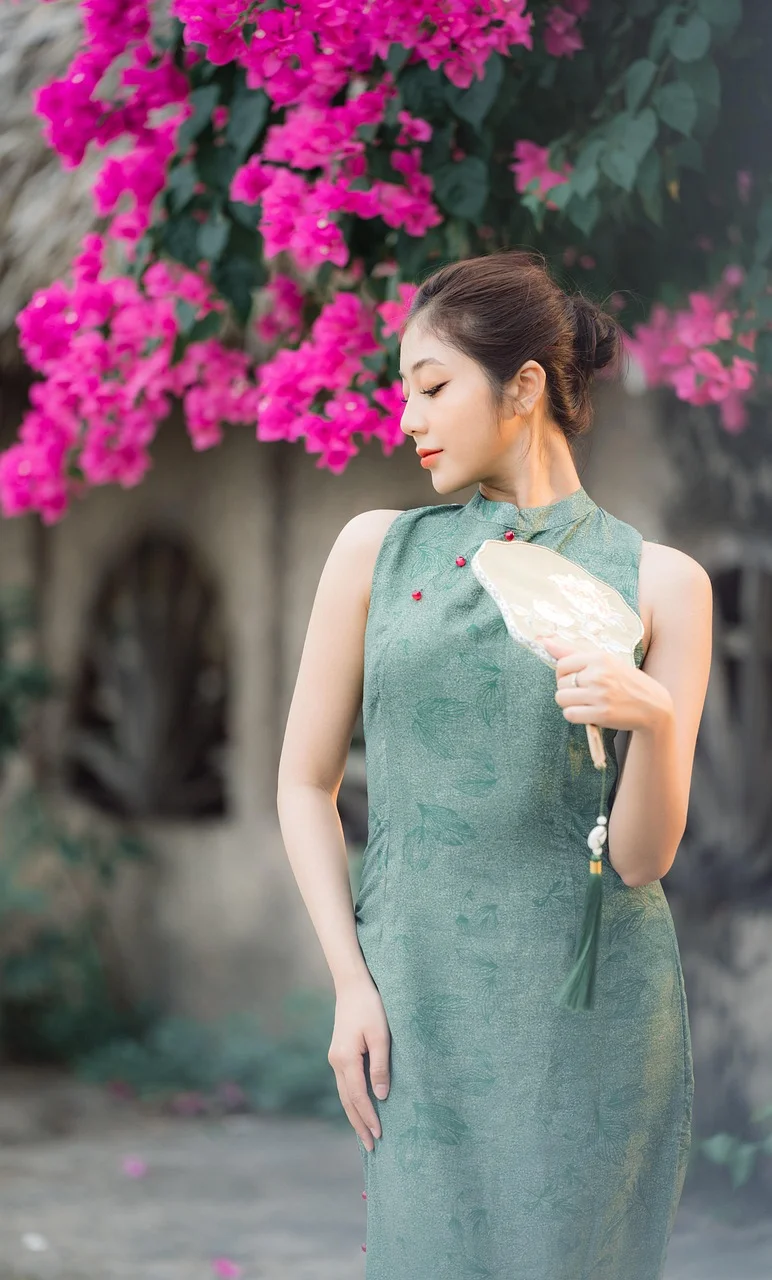 女人, 模特, 奥黛, 越南