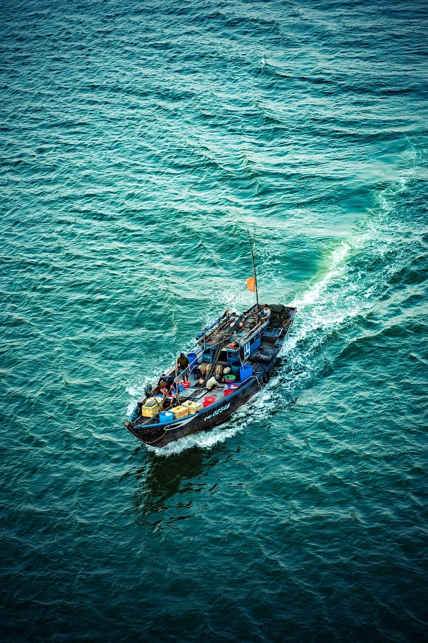 boat, fishing, fish, water